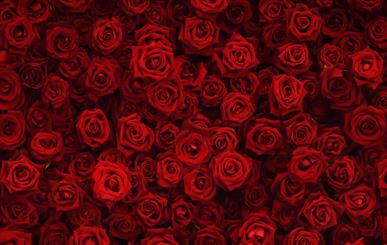 Consider the subtle but distinct differences between ‘colour gemstones’ and ‘coloured gemstones.’ Both are used interchangeably by different sources within the jewellery industry, but they are far from alike!